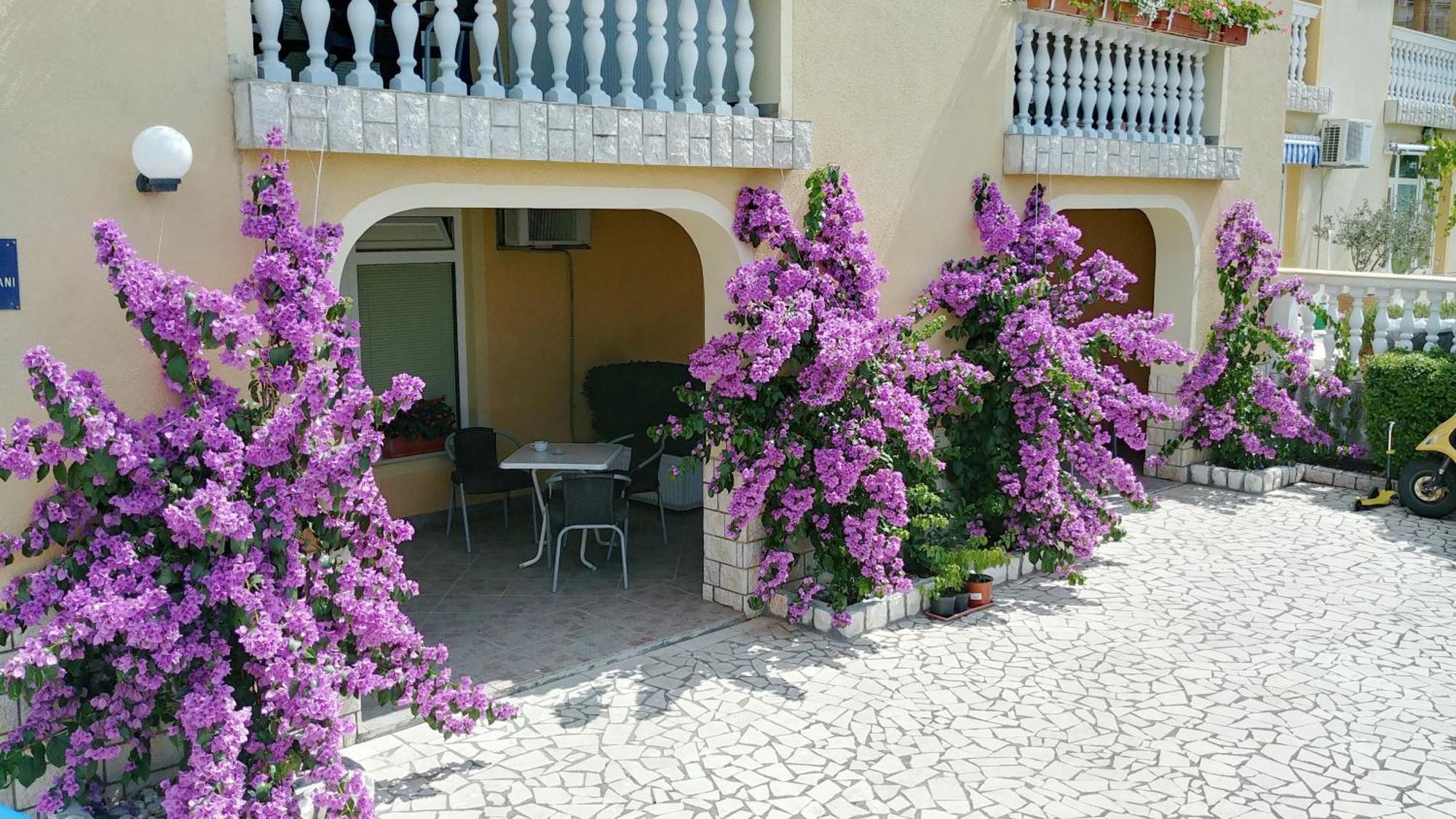 Apartments 3 Palms Crikvenica Exterior photo